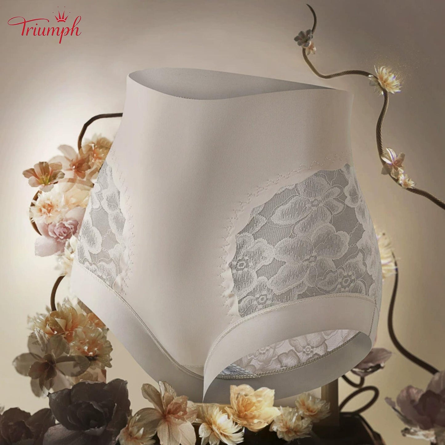 Triumph - Free Shipping. Set Of 4. High Quality Lace High Waisted Briefs