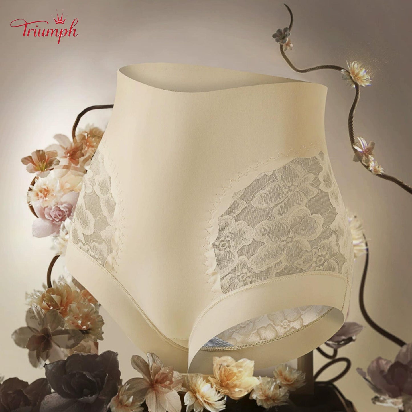 Triumph - Free Shipping. Set Of 4. High Quality Lace High Waisted Briefs