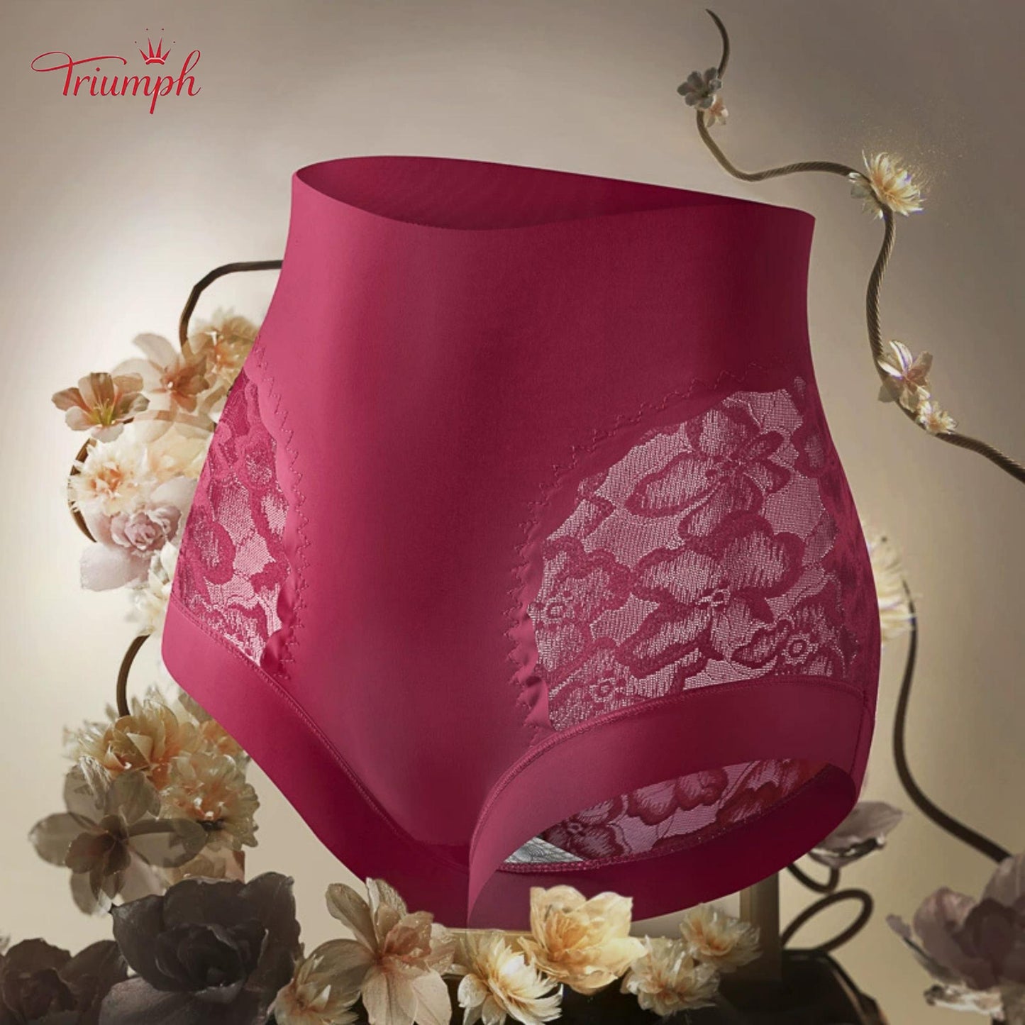 Triumph - Free Shipping. Set Of 4. High Quality Lace High Waisted Briefs