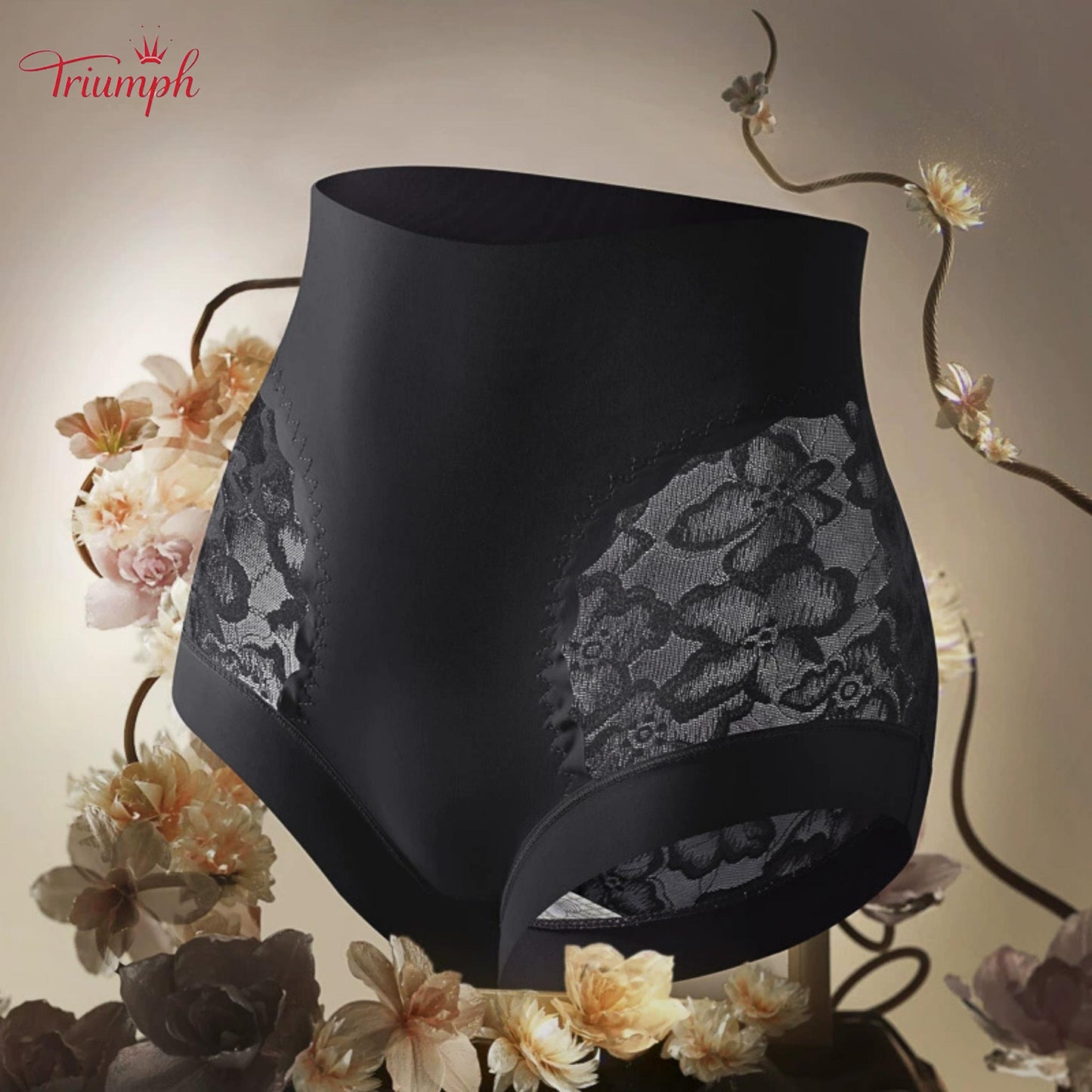 Triumph - Free Shipping. Set Of 4. High Quality Lace High Waisted Briefs